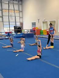 Image result for The Academy Of Gymnastics Portishead