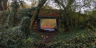 Image result for Sandwell Valley Sailing Club