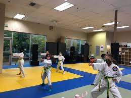 Image result for TRINITY KARATE ACADEMY