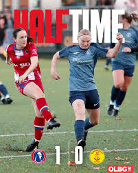 Image result for Dorking Wanderers F C