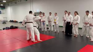Image result for Reading World Ju-jitsu Club
