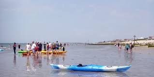 Image result for Paddletastic