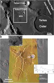 Attēlu rezultāti vaicājumam “Craterium minutum cf. var. brunneum macro”