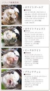 「ソフィア・ブラン」の画像検索結果