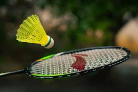 Image result for Shuttles (Brentford) Badminton Club