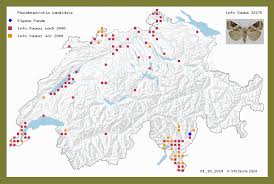 Attēlu rezultāti vaicājumam “Pseudeustrotia candidula”