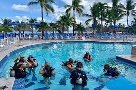 Image result for 243 Diving Club