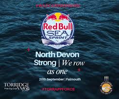 Image result for Appledore Pilot Gig Club