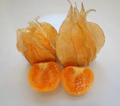 Attēlu rezultāti vaicājumam “Physalis alkekengi fruit”