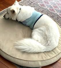 「アレックス・シェパード」の画像検索結果