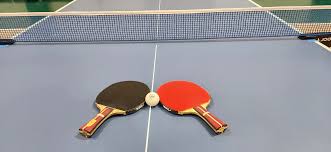 Image result for The Weald Table Tennis Club