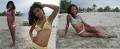      "brazilian mail brides Nova Scotia"