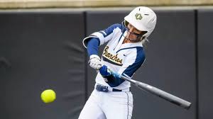 Image result for Brighton Beachcombers Softball Club