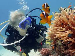 Image result for Blue Water Diving