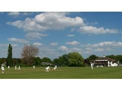 Image result for Gidea Park & Romford Cricket Club
