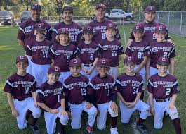 Image result for Chelmsford  - Writtle Angels Badminton Players