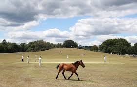 Image result for Lyndhurst Cricket Club