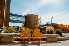Image result for Cambrian Centre for Activity