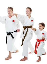 Image result for Norfolk Karate