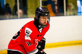 Image result for Basingstoke Buffalo