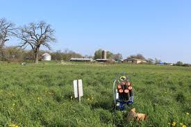 Image result for Area Target Club