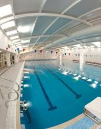 Image result for Selby Tiger Sharks Swimming Club