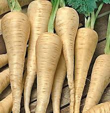 Image result for Pastinake