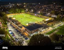 Image result for Dorking Wanderers F C