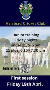 Image result for Halstead Colts Cricket Club