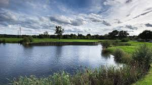 Image result for West Byfleet Golf Club