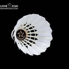 Image result for Chalfont Gut & Feather Badminton Club