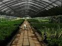 HowStuffWorks "How Greenhouses Work"