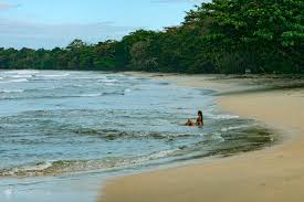 Image result for cahuita costa rica