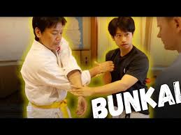 Image result for Inyo Karate Do Ninbukan