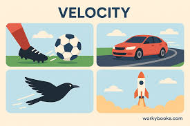 Image result for Velocity