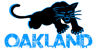 Image result for Pentland Panthers