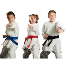 Image result for KIXX Martial Arts