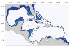 Image result for Haemulon album