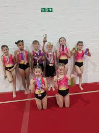 Image result for Allstarz Gymnastics Club