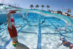 Image result for Spectrum Angels Octopush Club