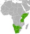 Bat-eared fox - Wikipedia, the free encyclopedia
