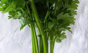 Image result for Sellerie