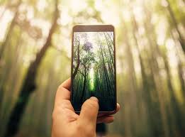 Image result for bilder