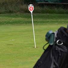 Image result for Thames Ditton & Esher Golf Club