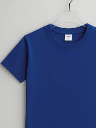 Image result for Синяя футболка