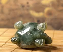 Αποτέλεσμα εικόνας για jade dragon turtle