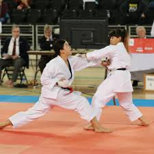 Image result for Nottingham Sankukai Karate