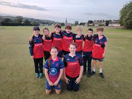 Image result for Bronwydd Cricket Club