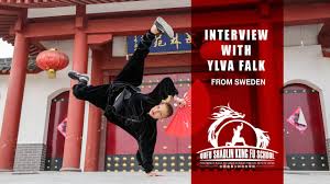 Image result for Shaolin Ancestors kung Fu School