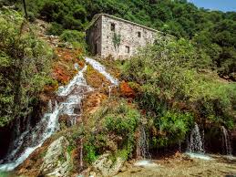 Attēlu rezultāti vaicājumam “Epirhoe tristata”